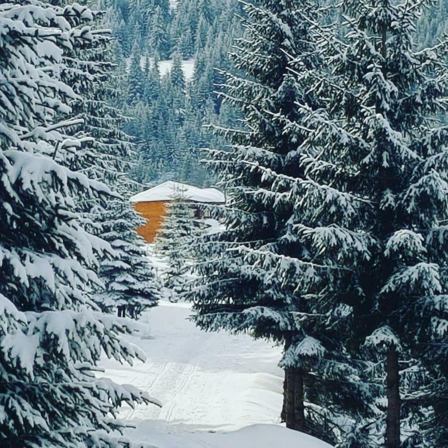 Resort Skrivena Berane Eksteriør billede